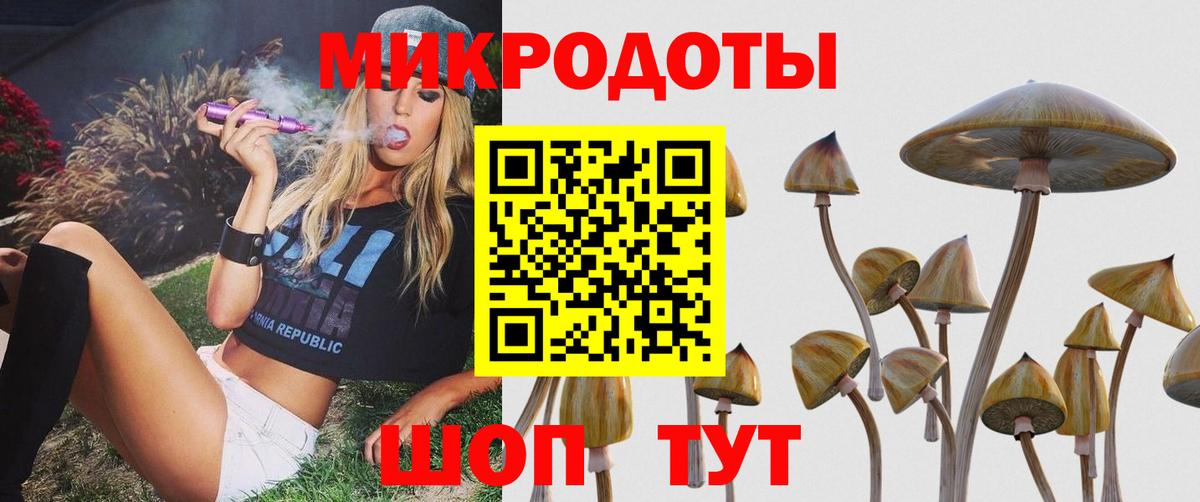 Галлюциногенные грибы GOLDEN TEACHER Ишим