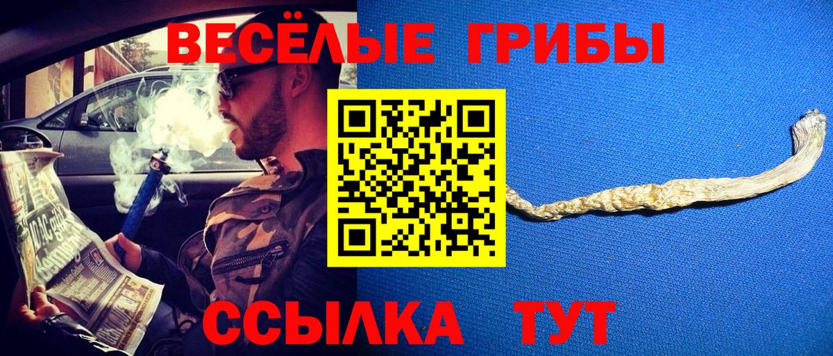 Галлюциногенные грибы MAGIC MUSHROOMS  Галлюциногенные грибы прущие грибы  Ишим  Вход с VPN 